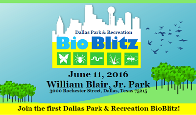 BioBlitz1